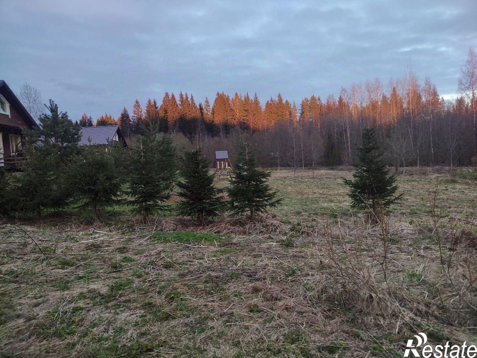 Купить землю, земельный участок за 1 300 000 рублей на Лахденпохья, Тихая улица