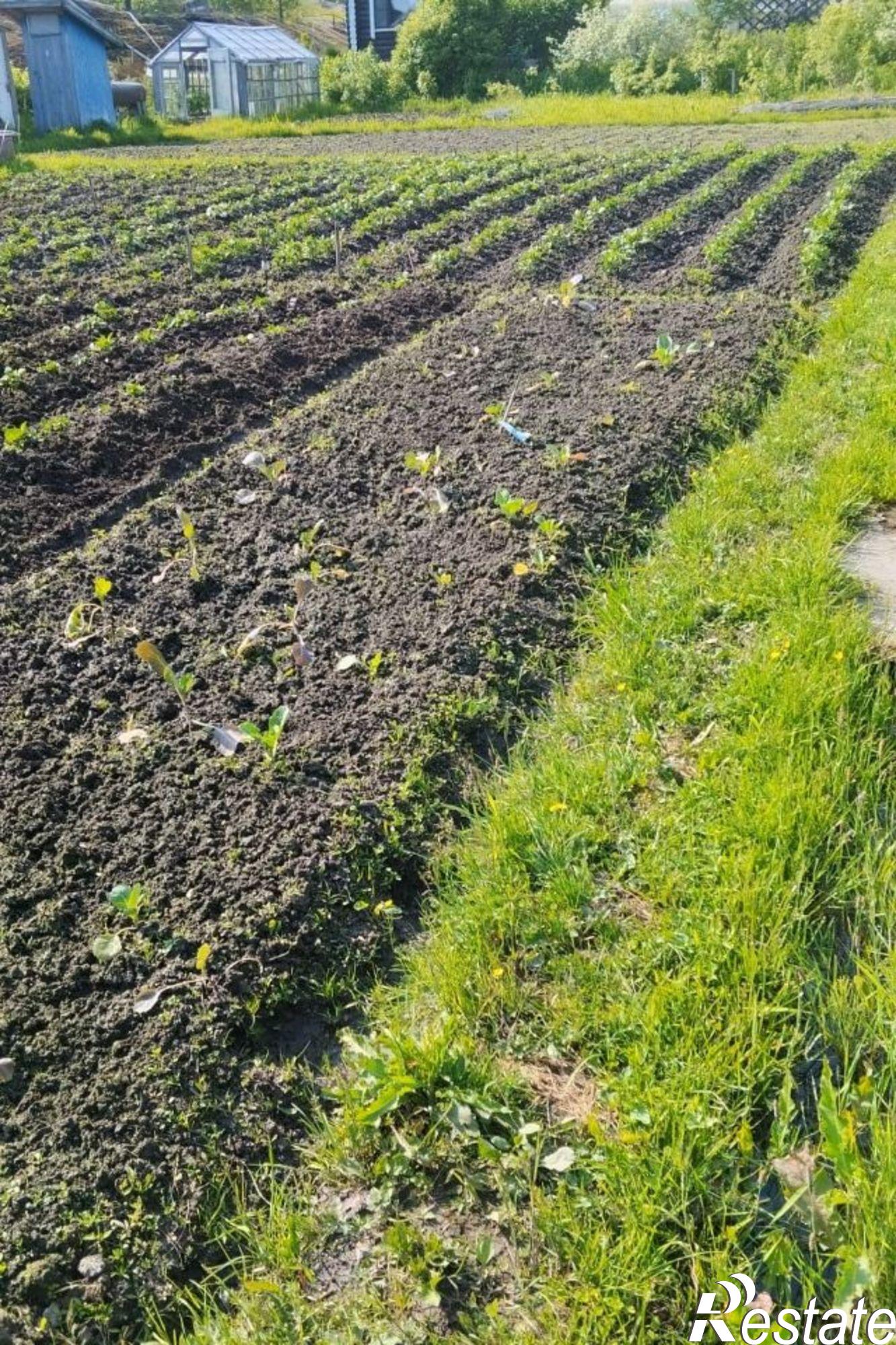Купить дачу, дом, коттедж за 12 500 000 рублей на Городская площадь