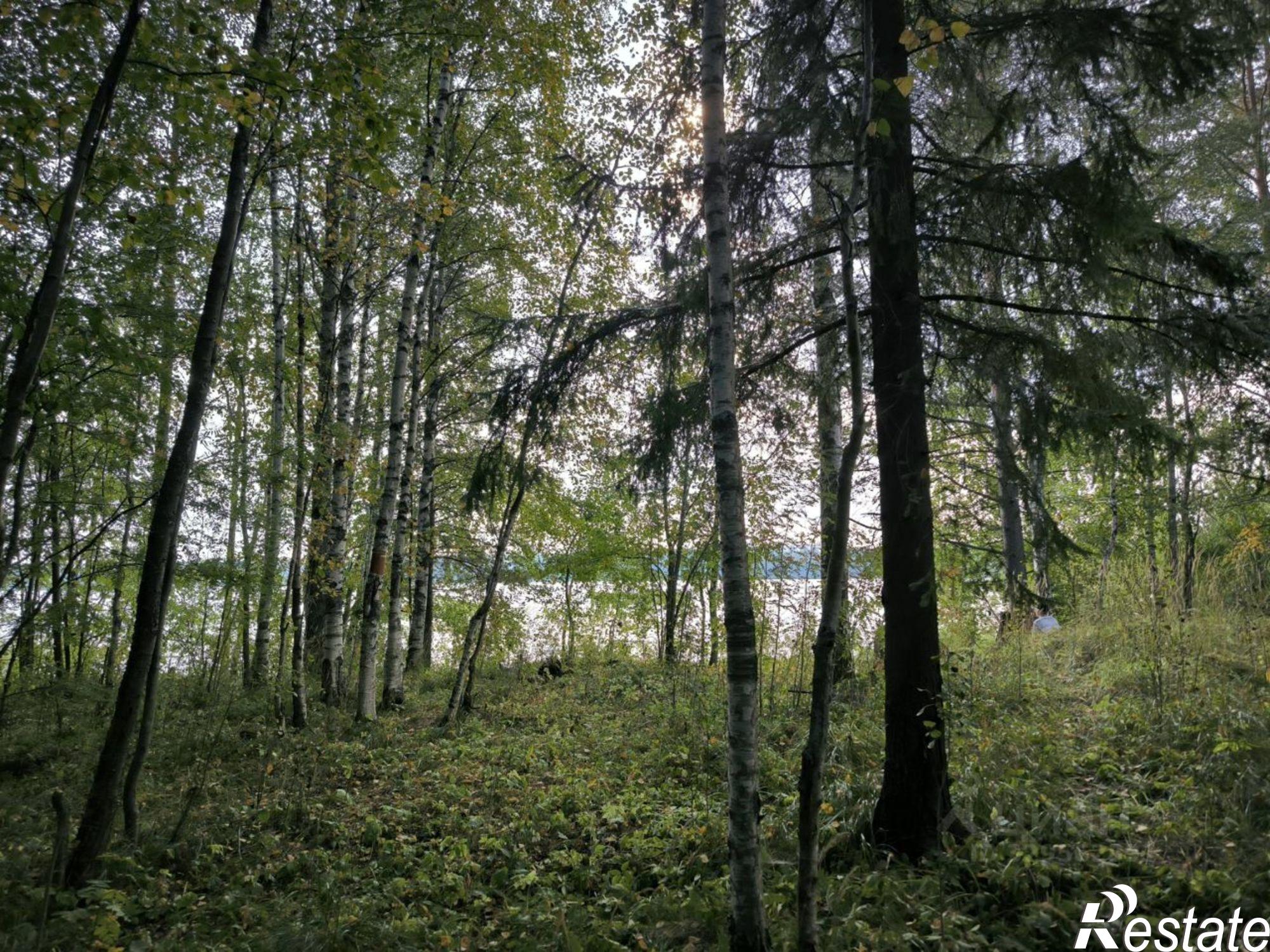 Купить землю, земельный участок за 6 100 000 рублей на Пролетарская улица, 30