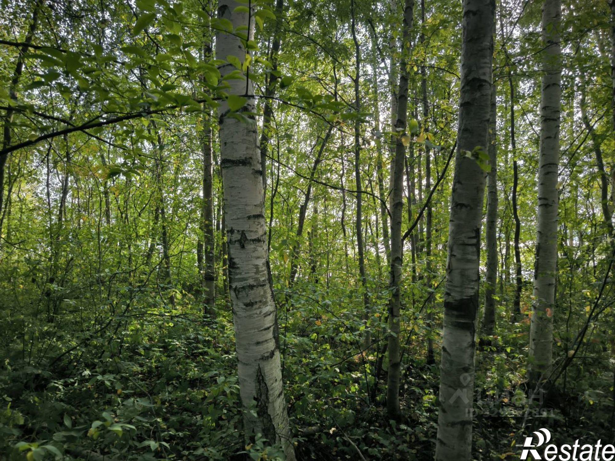 Купить землю, земельный участок за 6 100 000 рублей на Пролетарская улица, 30