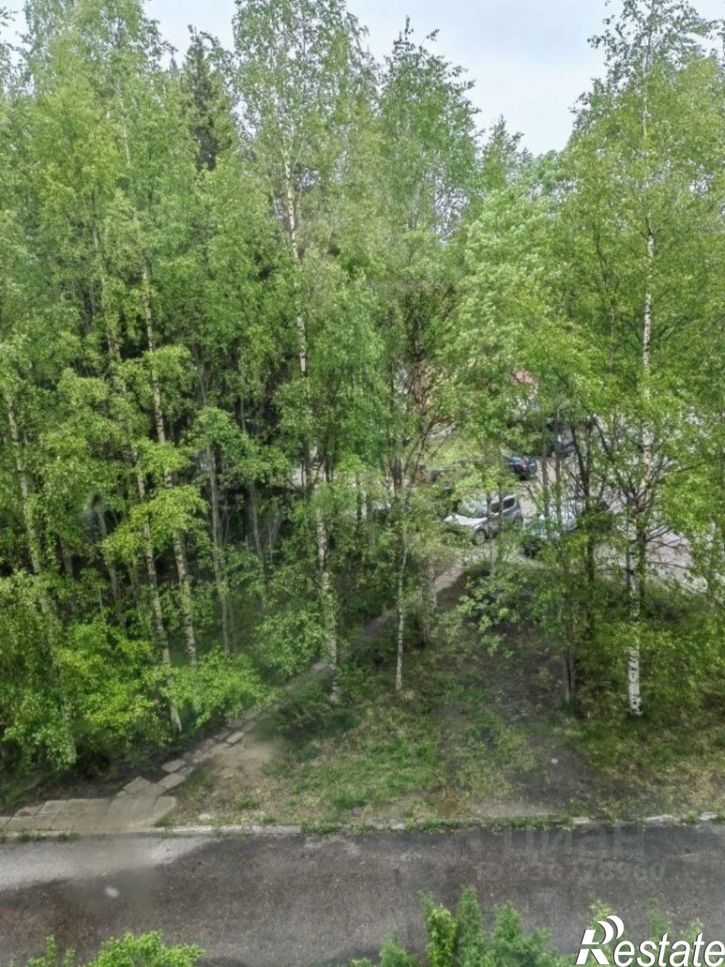 1-комн квартира ул Антикайнена, 29,  д. 29
