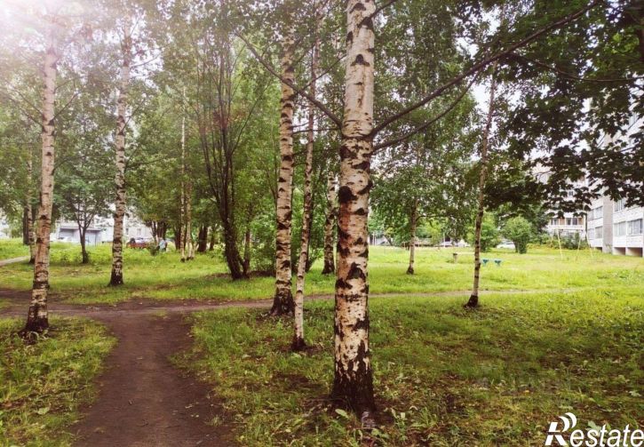 1-комн квартира Петрозаводск